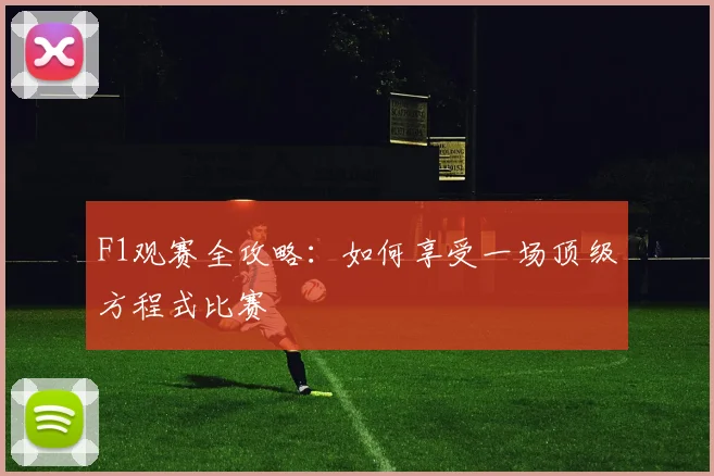 F1观赛全攻略：如何享受一场顶级方程式比赛
